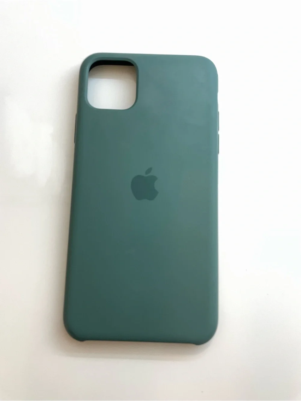 Apple Silicone iPhone Case - Teal